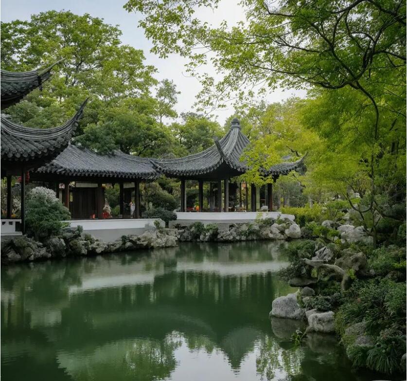 中山板芙南琴土建有限公司